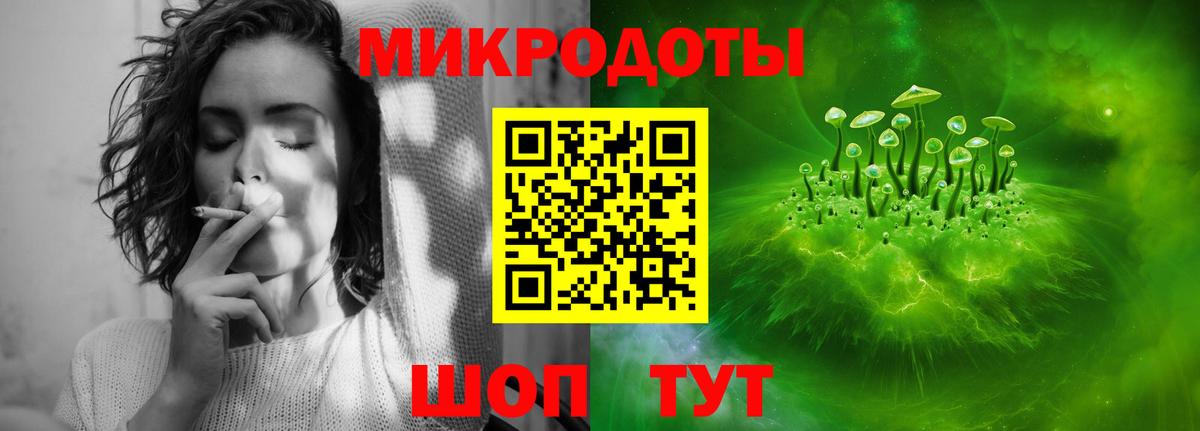 Галлюциногенные грибы прущие грибы Новозыбков